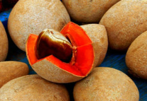 Mamey-300x208